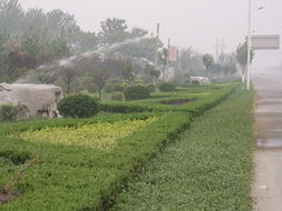 濰坊麗景園林 一站式園林綠化工程設(shè)計(jì)及施工服務(wù)