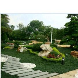 上海綠化工程設(shè)計(jì)施工全攻略 從新建改造到鮮花綠植養(yǎng)護(hù)